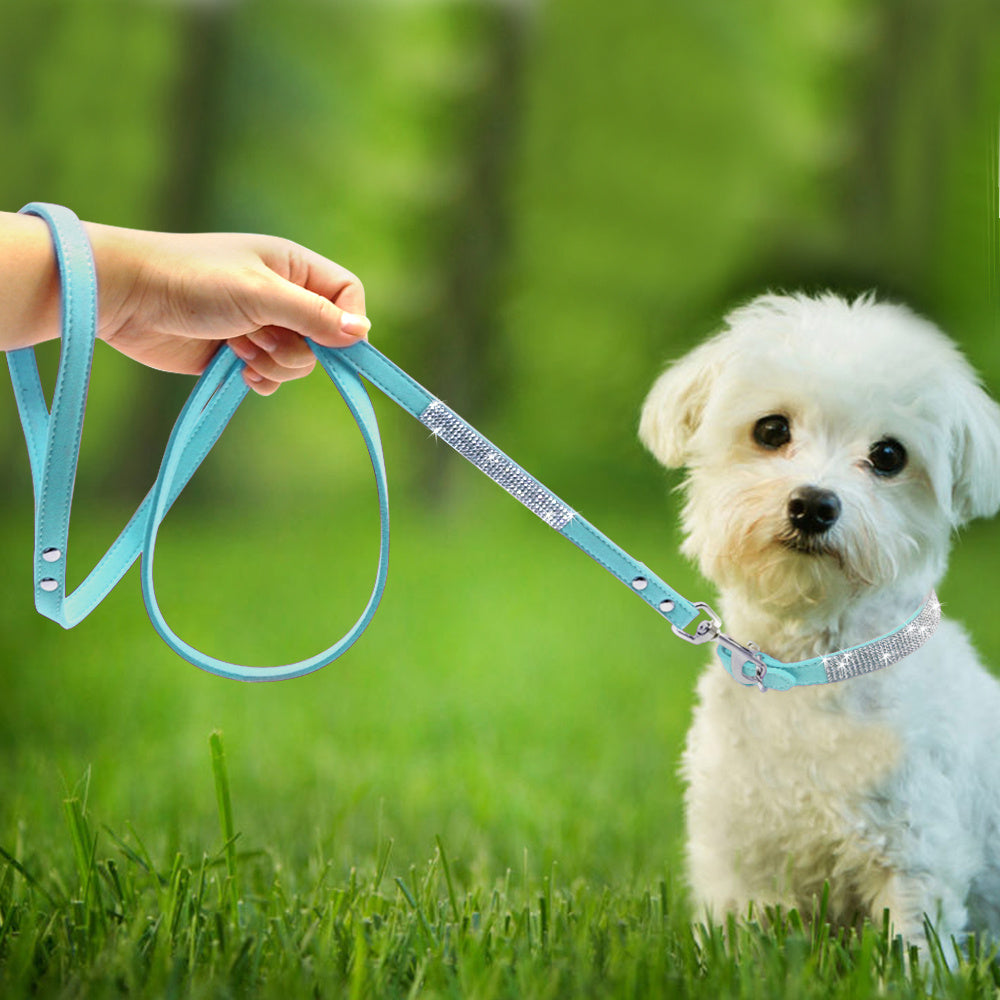 Hot Frosted dog collar