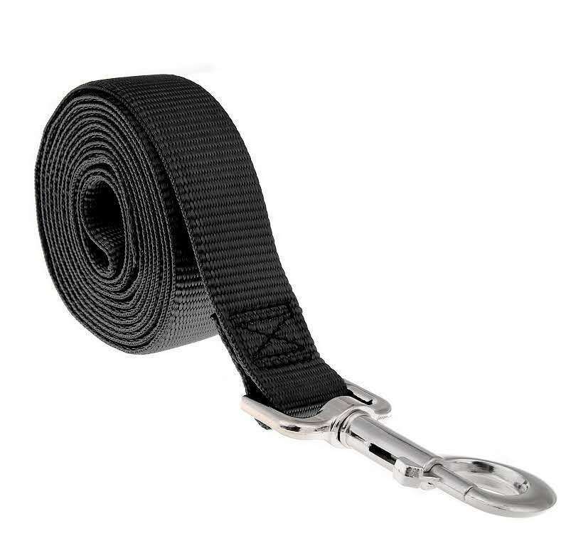 Lengthened pet leash