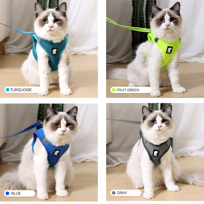 Cat Walker Secure Harness