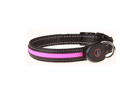 Dog Luminous USB Charging Collar