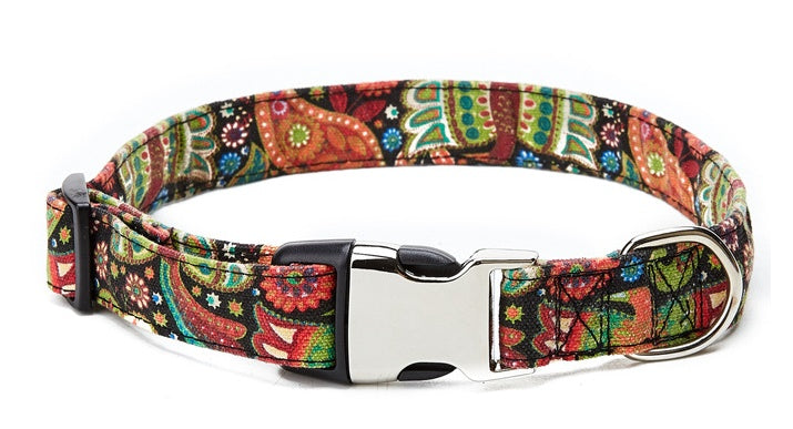 Pattern Webbed Dog Collar