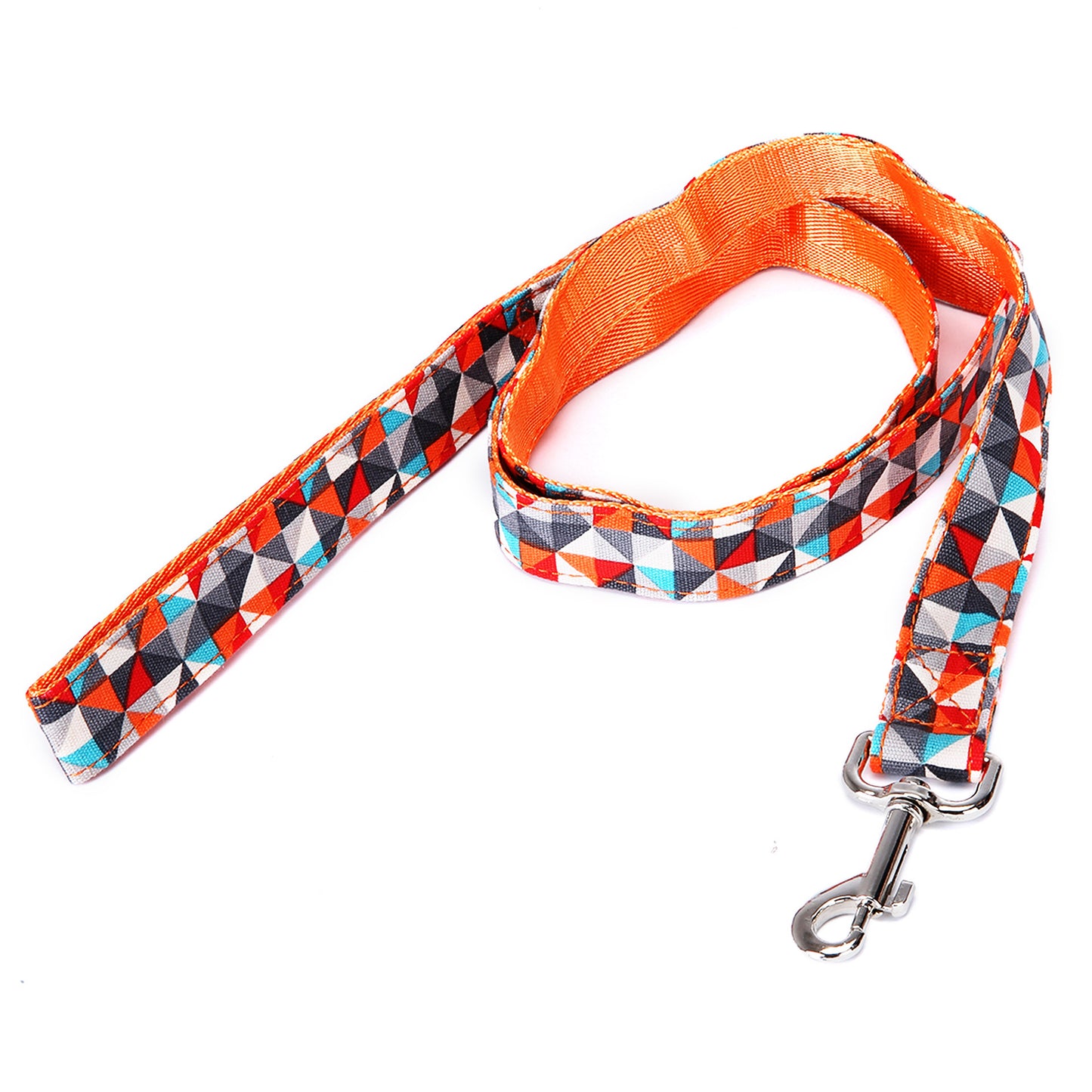 Pet Leash Multicolor Dog