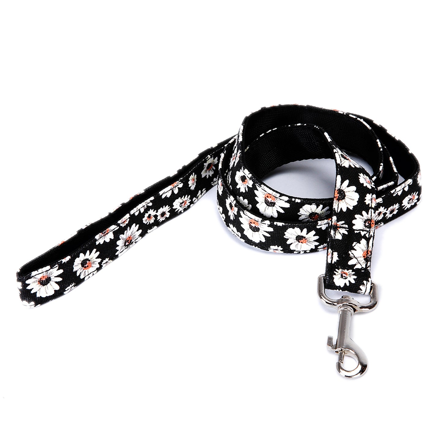 Pet Leash Multicolor Dog