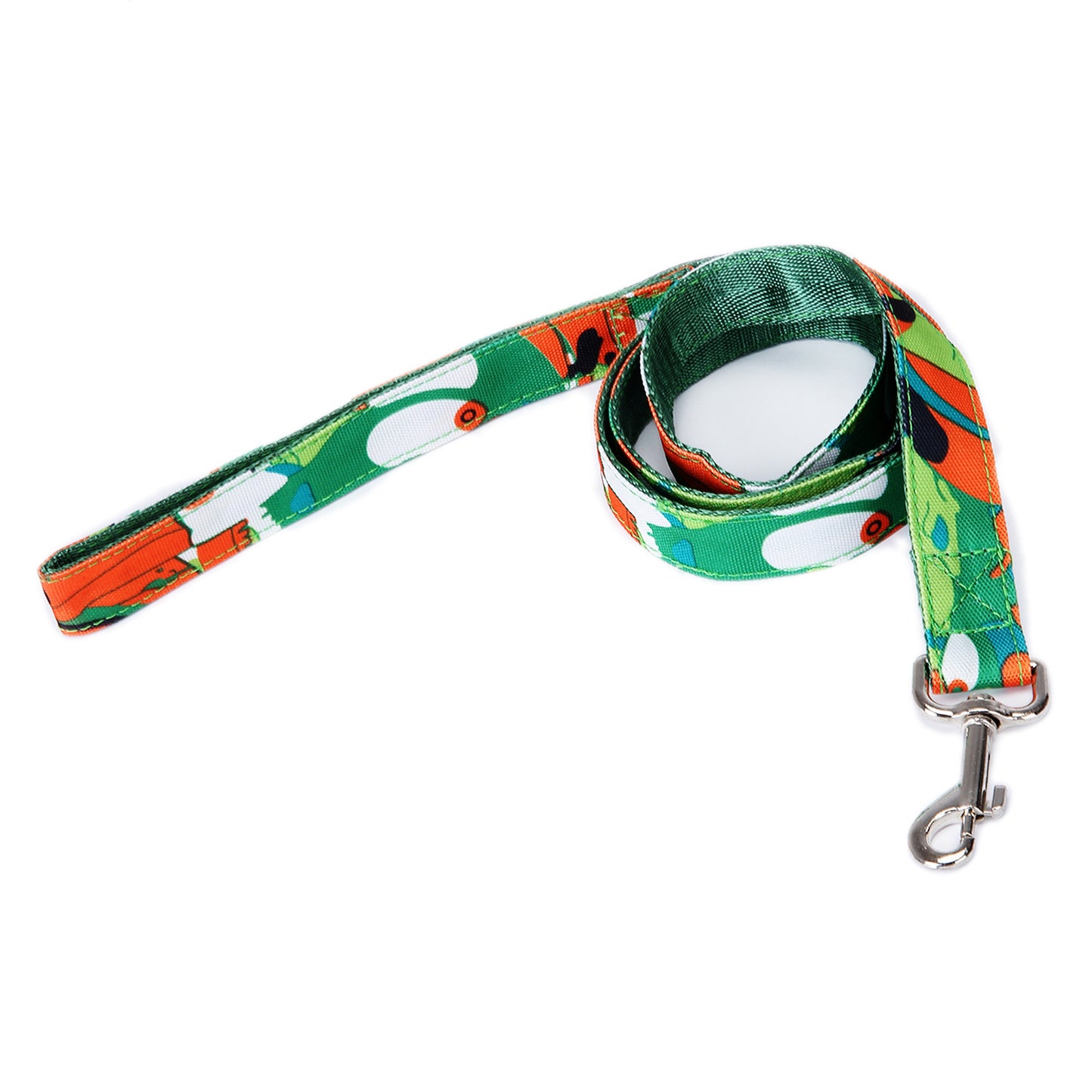 Pet Leash Multicolor Dog