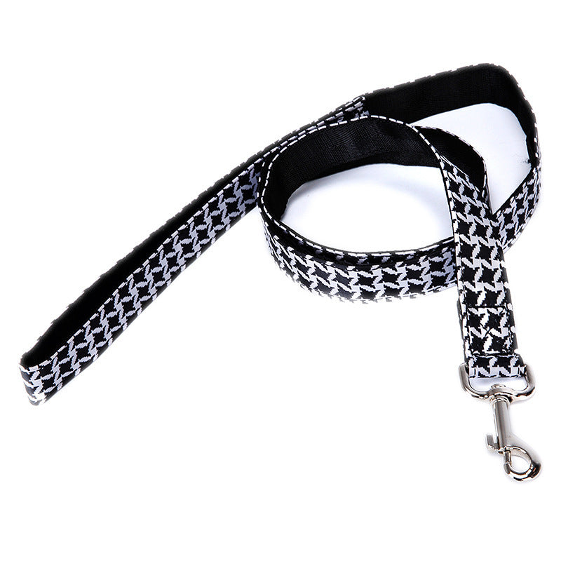 Pet Leash Multicolor Dog