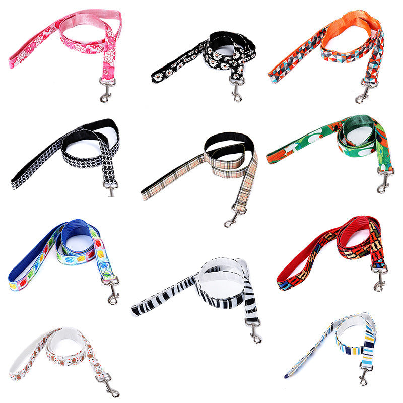 Pet Leash Multicolor Dog