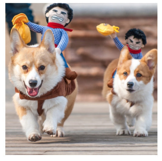 Cowboy Riding clothes pet clothes