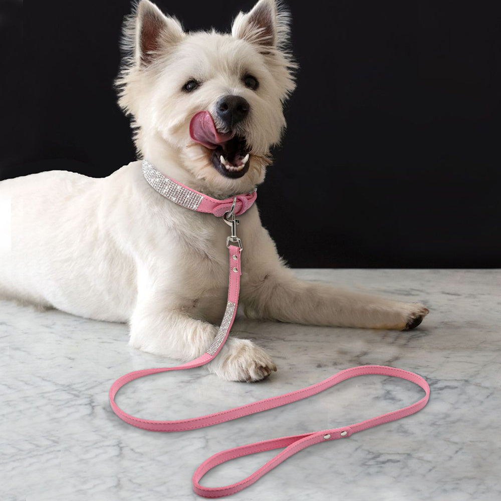 Hot Frosted dog collar