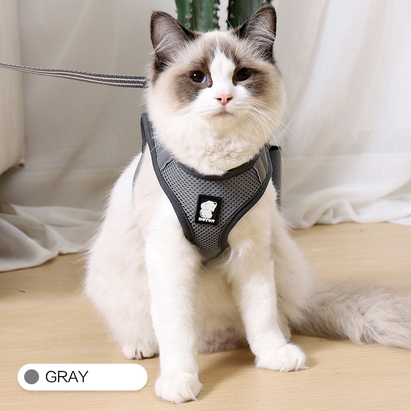 Cat Walker Secure Harness