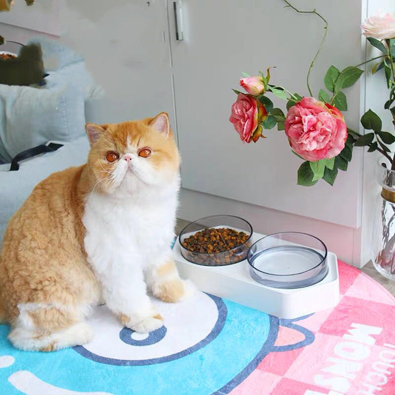 Hexagonal inclined pet bowl