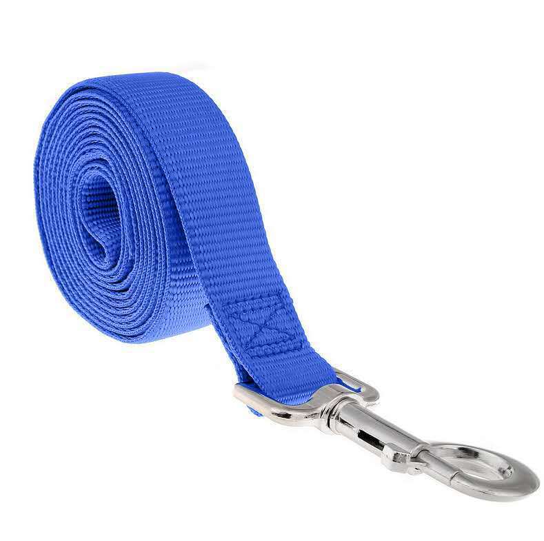 Lengthened pet leash