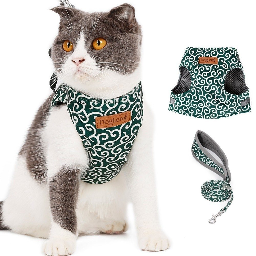 Cat vest harness and leash