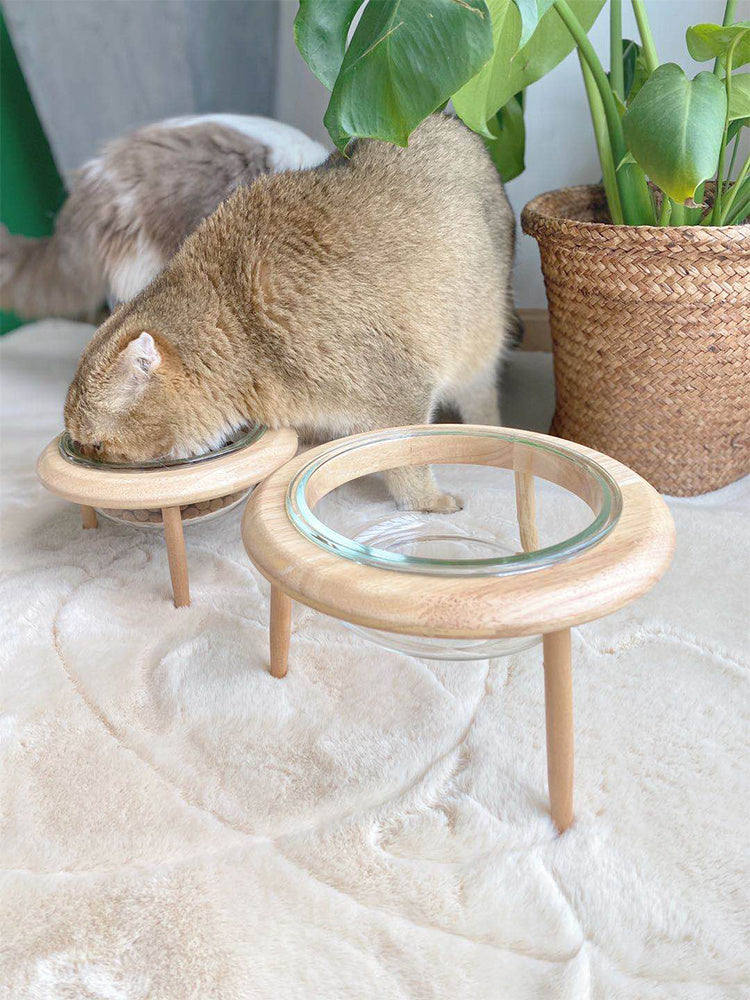 Cat bowl with Stand