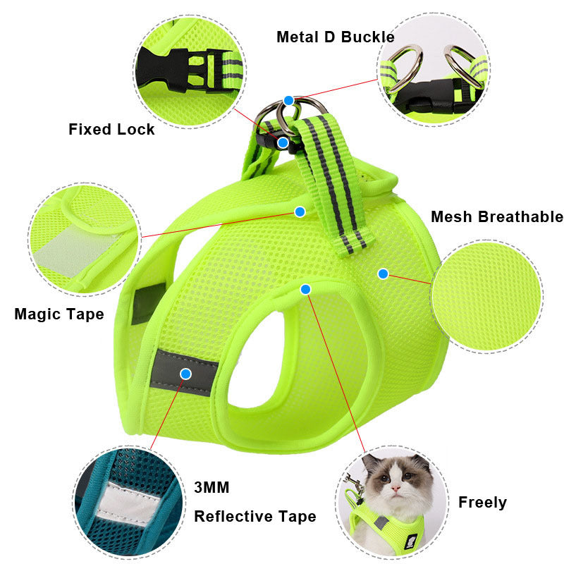 Cat Walker Secure Harness