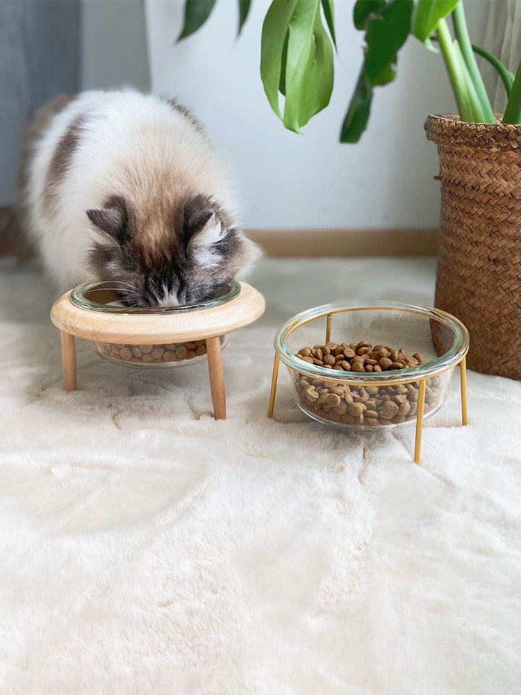 Cat bowl with Stand