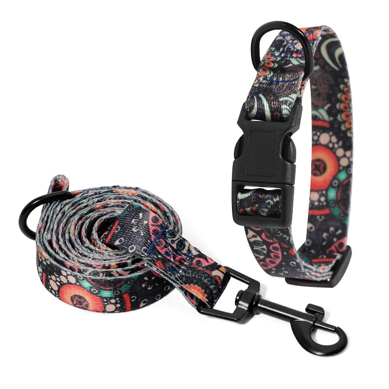 Dog Collar and Pet Leash Set