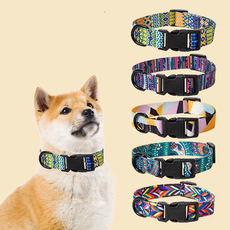 Dog Collar and Pet Leash Set