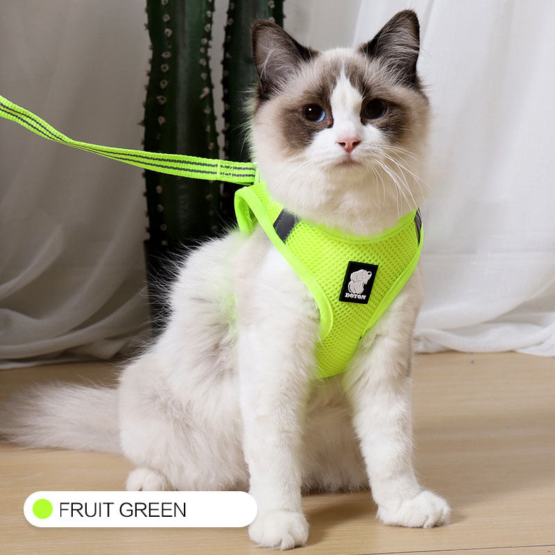 Cat Walker Secure Harness