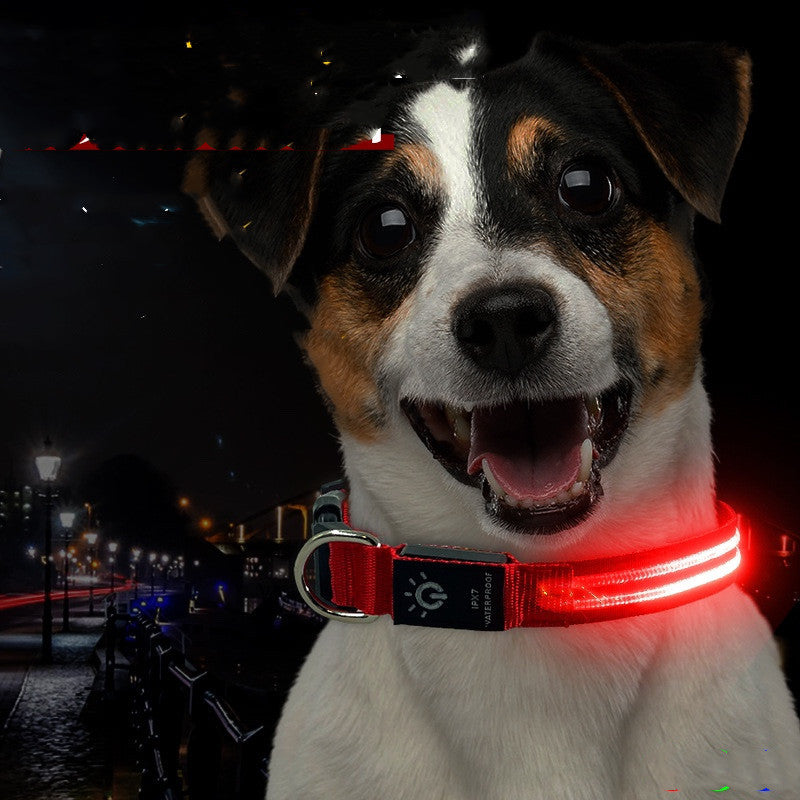 LED Pet Collar Waterproof Lighting Collar Night